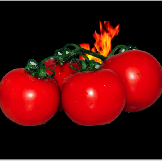 Tomato fl
